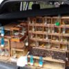 Mais de 140 aves silvestres são apreendidas dentro de veículo no Vale do Ribeira, SP; VÍDEO