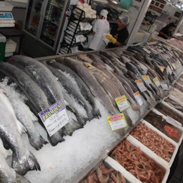 mercado-de-peixes-realizara-festival-com-sardinha-a-preco-especial-em-santos,-sp