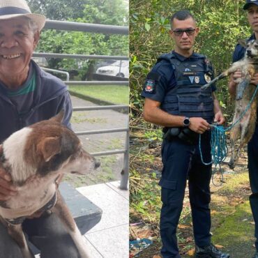 tutores-encontram-cao-que-estava-desaparecido-e-foi-resgatado-a-deriva-em-rio