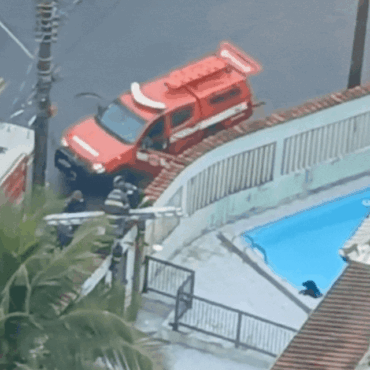 bombeiros-pulam-muro-de-casa-para-resgatar-rottweiler-se-debatendo-em-piscina;-video
