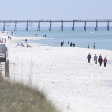 banhistas-sao-atacados-por-tubaroes-em-praias-da-florida-e-autoridades-emitem-alerta-de-risco